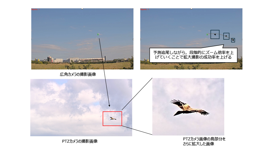 飛翔方向予測追跡と段階的拡大撮影の説明図