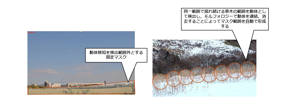動体検知における誤認識ノイズ対策（揺れる小枝、ススキ）の説明図