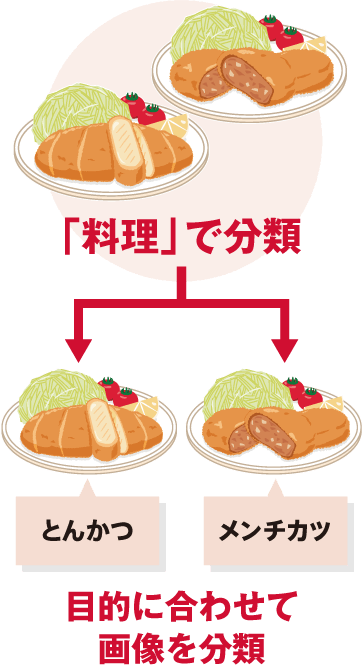 分類型